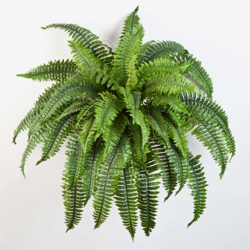 Konstgjord Boston-ormbunke SAMUEL, stödpinne, grön, 60cm, Ø90cm Konstgjord Boston-ormbunke SAMUEL, stödpinne, grön, 60cm, Ø90cm