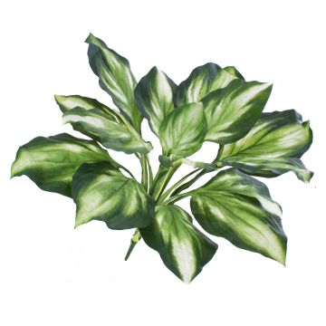 Konstgjord hosta YAHIKO på stödpinne, grön-vit, 55cm