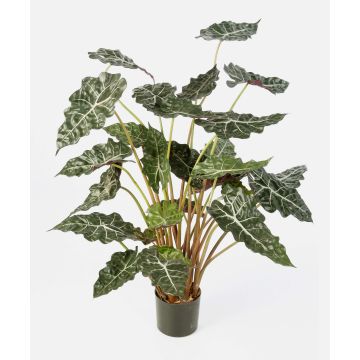 Konstgjord Alocasia Sanderiana SHIVA, grön-vit, 110cm Konstgjord Alocasia Sanderiana SHIVA, grön-vit, 110cm