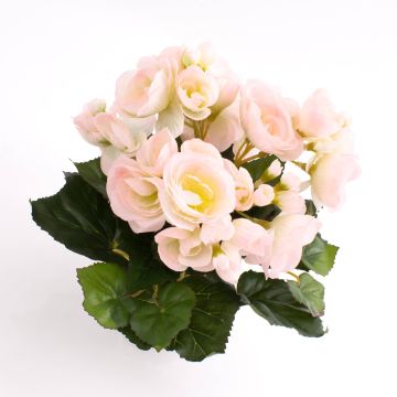 Konstgjord begonia IVANA på stödpinne, rosa-vit, 20cm, Ø3-5cm Konstgjord begonia IVANA på stödpinne, rosa-vit, 20cm, Ø3-5cm