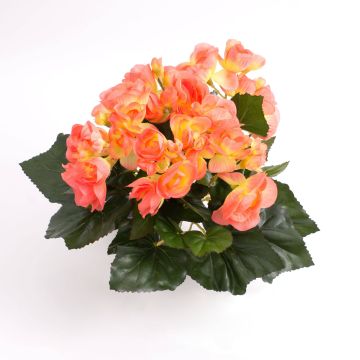 Konstbegonia IVANA på stödpinne, laxfärgad, 20cm, Ø3-5cm Konstbegonia IVANA på stödpinne, laxfärgad, 20cm, Ø3-5cm