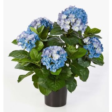 Konstgjord hortensia HARUKA, blå, 55cm, Ø10-15cm Konstgjord hortensia HARUKA, blå, 55cm, Ø10-15cm