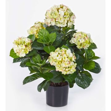 Konstgjord hortensia HARUKA, grön, 55cm, Ø10-15cm
