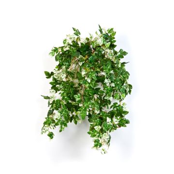 Konstgjord vinranka SICHIA på stickpinne, grön-vit, 50cm