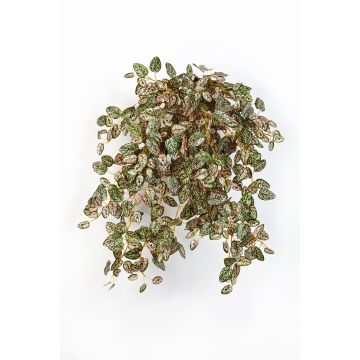 Konstgjord prickblomma MALAIKA på stödpinne, grön-röd, 50cm