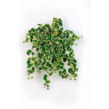 Konstgjord klätterfikon AKUMA på stickpinne, grön-vit, 50cm