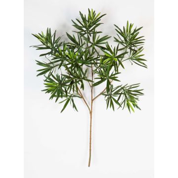 Konstgjord Podocarpus-gren CHIKO, 65cm Konstgjord Podocarpus-gren CHIKO, 65cm