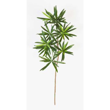 Konstgjord Podocarpus-gren CHIKO, 50cm Konstgjord Podocarpus-gren CHIKO, 50cm