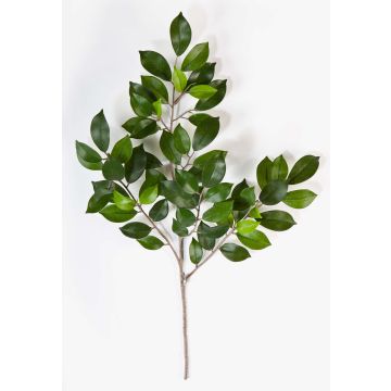 Konstgjord Ficus Benjamini-gren AJITH, grön, 45cm Konstgjord Ficus Benjamini-gren AJITH, grön, 45cm