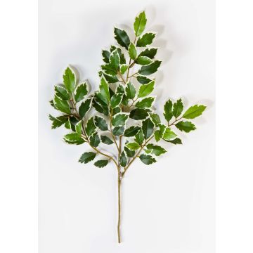 Konstgjord Ficus Benjamini-gren AJITH, grön-vit, 45cm Konstgjord Ficus Benjamini-gren AJITH, grön-vit, 45cm