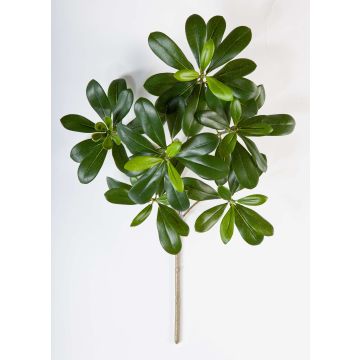 Konstgjord klebsamen-gren MASON, 40cm Konstgjord klebsamen-gren MASON, 40cm