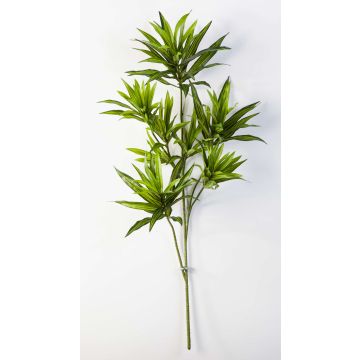 Konstväxt Dracaena Reflexa Jamaica-gren MAYRA, grön, 80cm