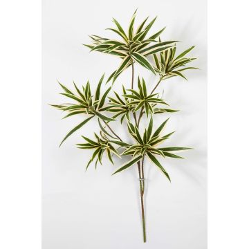 Konstgjord växt Dracaena Reflexa Jamaica-gren MAYRA, grön-gul, 80cm