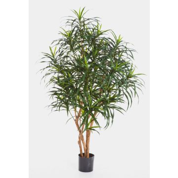 Konstgjord Dracaena Reflexa Anita KAYLIN, naturliga stammar, grön, 120cm