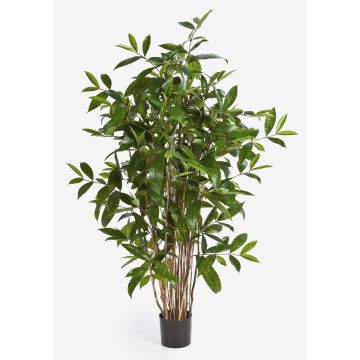Konstgjord Dracaena Surculosa SIMBA, naturstammar, grön, 90cm