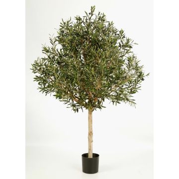 Konstgjord olivträd NIKOLAS, naturstam, med frukter, 180cm