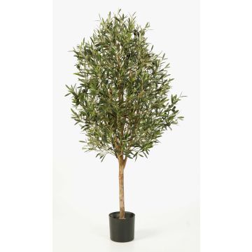Konstgjord olivträd PLATON, äkta stam, med frukter, 170cm Konstgjord olivträd PLATON, äkta stam, med frukter, 170cm
