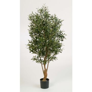 Konstgjord olivträd ALEXANDROS, äkta stam, med frukter, 170cm