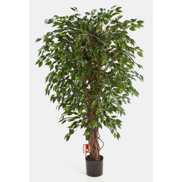 Konstgjord Ficus Benjamini DAKU, naturstammar, grön, 90cm Konstgjord Ficus Benjamini DAKU, naturstammar, grön, 90cm