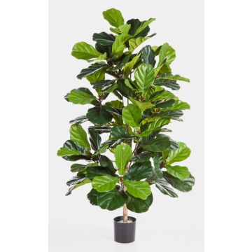Konstgjord Ficus Lyrata MORENA, äkta stam, grön, 130cm Konstgjord Ficus Lyrata MORENA, äkta stam, grön, 130cm