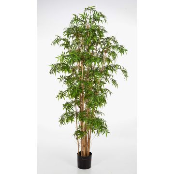 Konstgjord japansk pilbambu KAITO, äkta stammar, 110cm