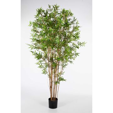 Konstgjord japansk pilbambu KANAYO, äkta stammar, 120cm Konstgjord japansk pilbambu KANAYO, äkta stammar, 120cm
