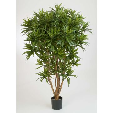 Konstgjord Dracaena Reflexa Jamaica AMELIA, äkta stammar, grön, 145cm
