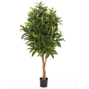 Konstgjord Longifolia-träd AVERY, naturstammar, 105cm