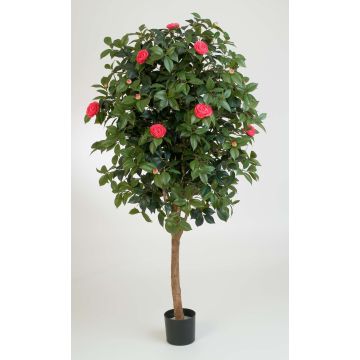 Konstgjord Camellia Japonica RIKA, äkta stam, blommor, cerise, 170cm Konstgjord Camellia Japonica RIKA, äkta stam, blommor, cerise, 170cm