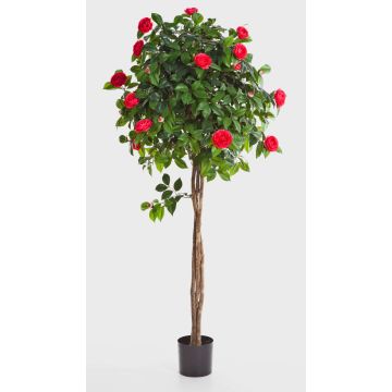 Konstgjord kameliaträd ERINA, äkta stammar, med blommor, cerise, 130cm Konstgjord kameliaträd ERINA, äkta stammar, med blommor, cerise, 130cm