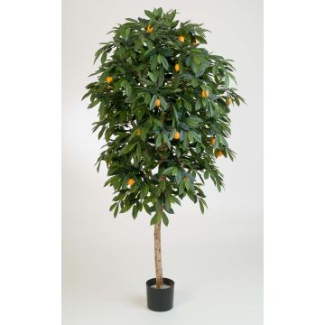 Konstgjord apelsinträd CELIA, äkta stam, med frukter, 170cm Konstgjord apelsinträd CELIA, äkta stam, med frukter, 170cm