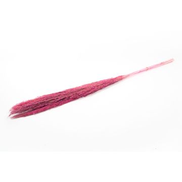 Torkat vassbunt DONJETA, cerise, 115-120cm, Ø15cm