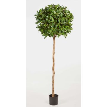 Konstgjord lagerträdskula CAIUS, äkta stam, 170cm, Ø50cm