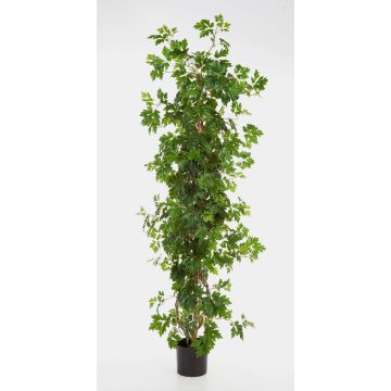Konstväxt vinranka NIKA, naturstammar, grön, 160cm