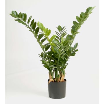 Konstgjord Zamioculcas Zamiifolia AKONO, 100cm