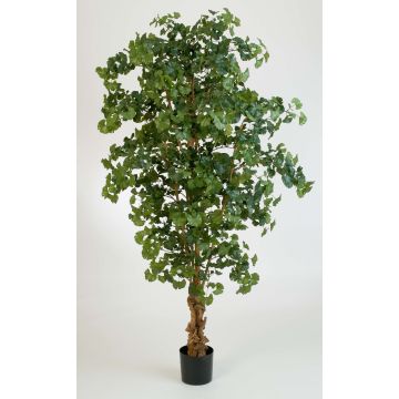 Konstgjord ginkgoträd JUAN, naturstam, 210cm