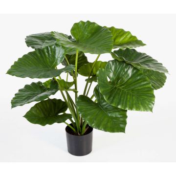 Konstgjord Alocasia Calidora SALONI, grön, 75cm Konstgjord Alocasia Calidora SALONI, grön, 75cm