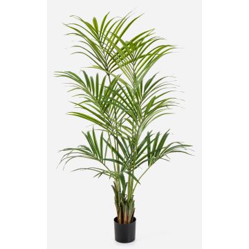 Konstgjord Kentia-palm OMAYRA, 170cm