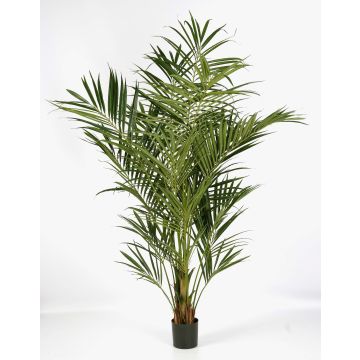 Konstgjord Kentia-palm OMAYRA, 225cm