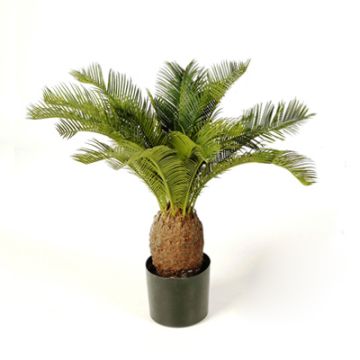 Konstgjord palm Cycas MATTHEW, 65cm