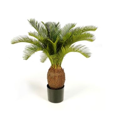 Konstpalm Cycas MATTHEW, 70cm