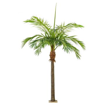 Konstgjord fenixpalm STEVEN, 480cm Konstgjord fenixpalm STEVEN, 480cm