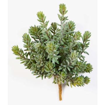 Konstgjord Sedum reflexum OLAVI på stödpinne, grön, 20cm