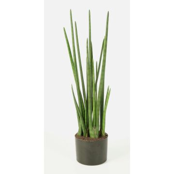 Konstgjord Sansevieria Cylindrica MERVE, grön, 100cm Konstgjord Sansevieria Cylindrica MERVE, grön, 100cm
