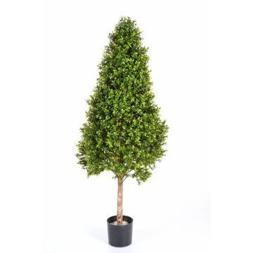 Künstlicher Buchsbaum Kegel TOM, Naturstamm, 105cm