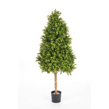 Konstgjord buxbom i konform TOM, naturstam, 140cm