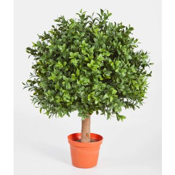 Konstgjord buxbom TOM, naturstam, 45cm, Ø30cm