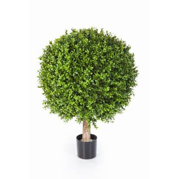 Konstgjord buxbom TOM, naturstam, 55cm, Ø40cm