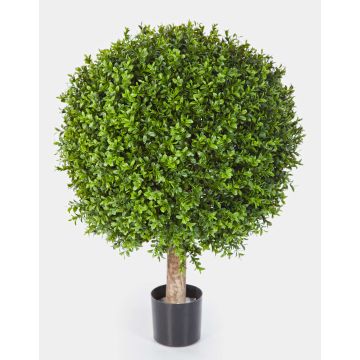 Konstgjord buxbom TOM, naturstam, 75cm, Ø60cm