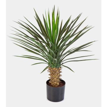 Konstgjord Yucca rostrata RAFFAELA, 80cm